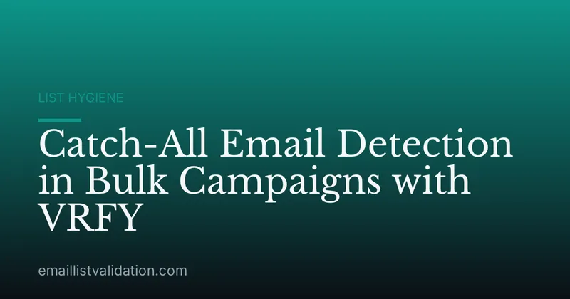 Catch-All Email Detection in Bulk Campaigns with VRFY