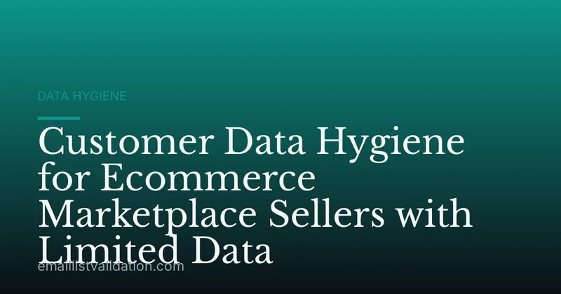 Customer Data Hygiene for Ecommerce Marketplace Sellers with Limited Data