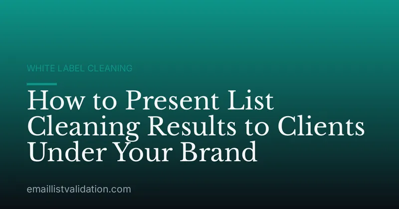 How to Present List Cleaning Results to Clients Under Your Brand