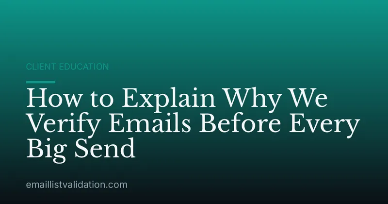 How to Explain Why We Verify Emails Before Every Big Send
