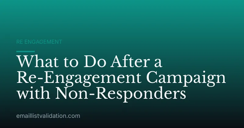 What to Do After a Re-Engagement Campaign with Non-Responders