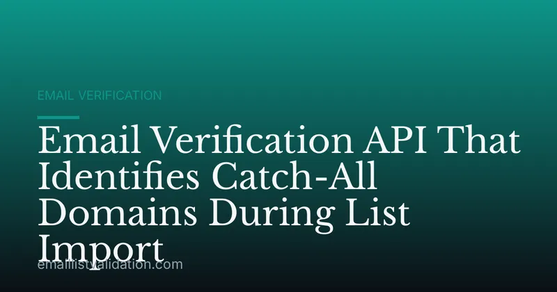 Email Verification API That Identifies Catch-All Domains During List Import