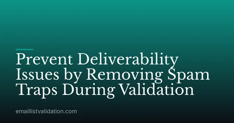 Prevent Deliverability Issues by Removing Spam Traps During Validation