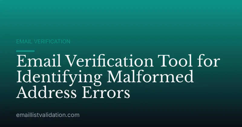 Email Verification Tool for Identifying Malformed Address Errors