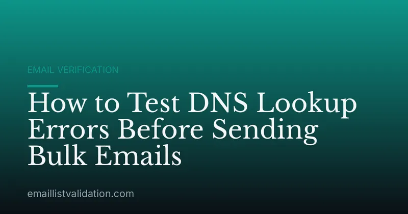How to Test DNS Lookup Errors Before Sending Bulk Emails