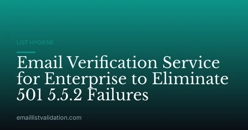 Email Verification Service for Enterprise to Eliminate 501 5.5.2 Failures