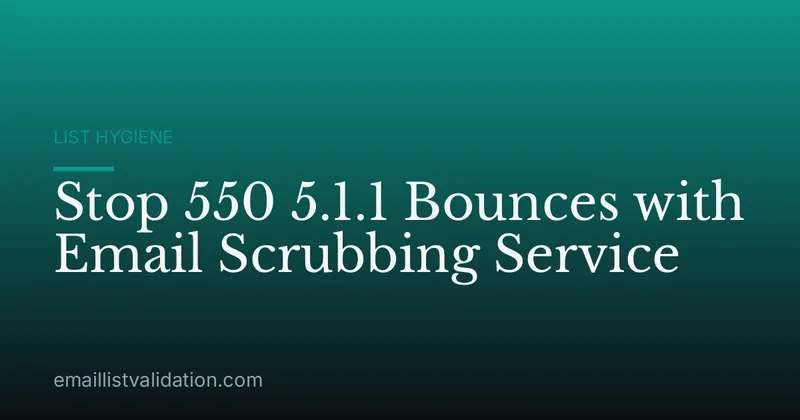 Stop 550 5.1.1 Bounces with Email Scrubbing Service