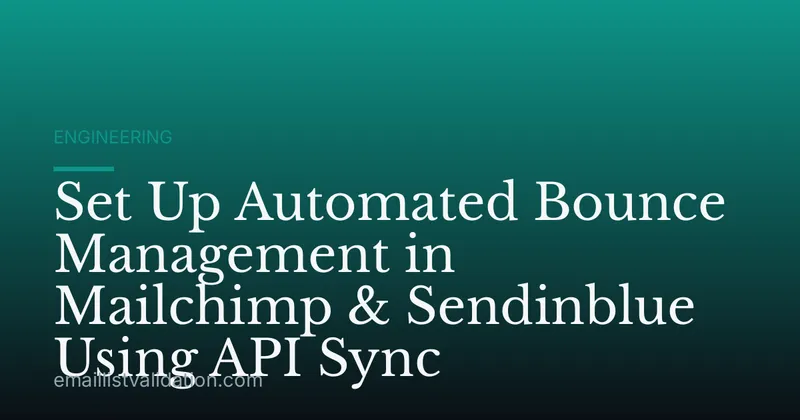 Set Up Automated Bounce Management in Mailchimp & Sendinblue Using API Sync