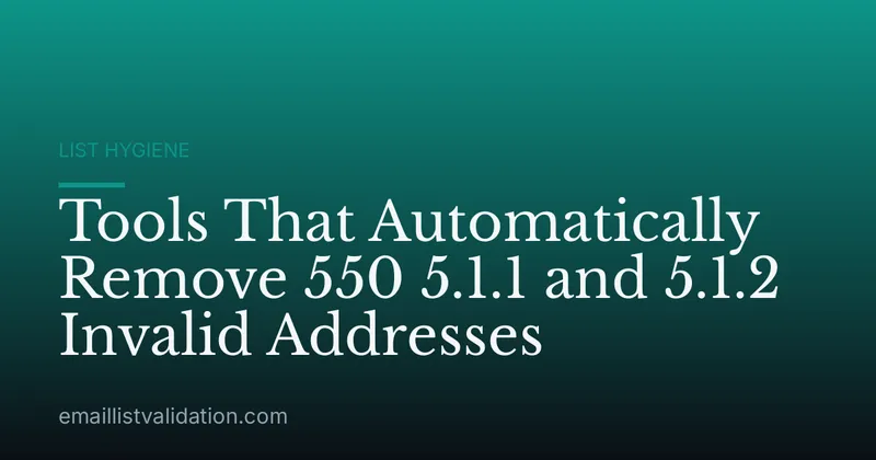 Tools That Automatically Remove 550 5.1.1 and 5.1.2 Invalid Addresses