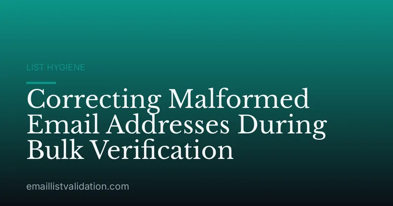 Correcting Malformed Email Addresses During Bulk Verification