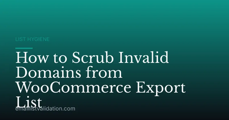 How to Scrub Invalid Domains from WooCommerce Export List
